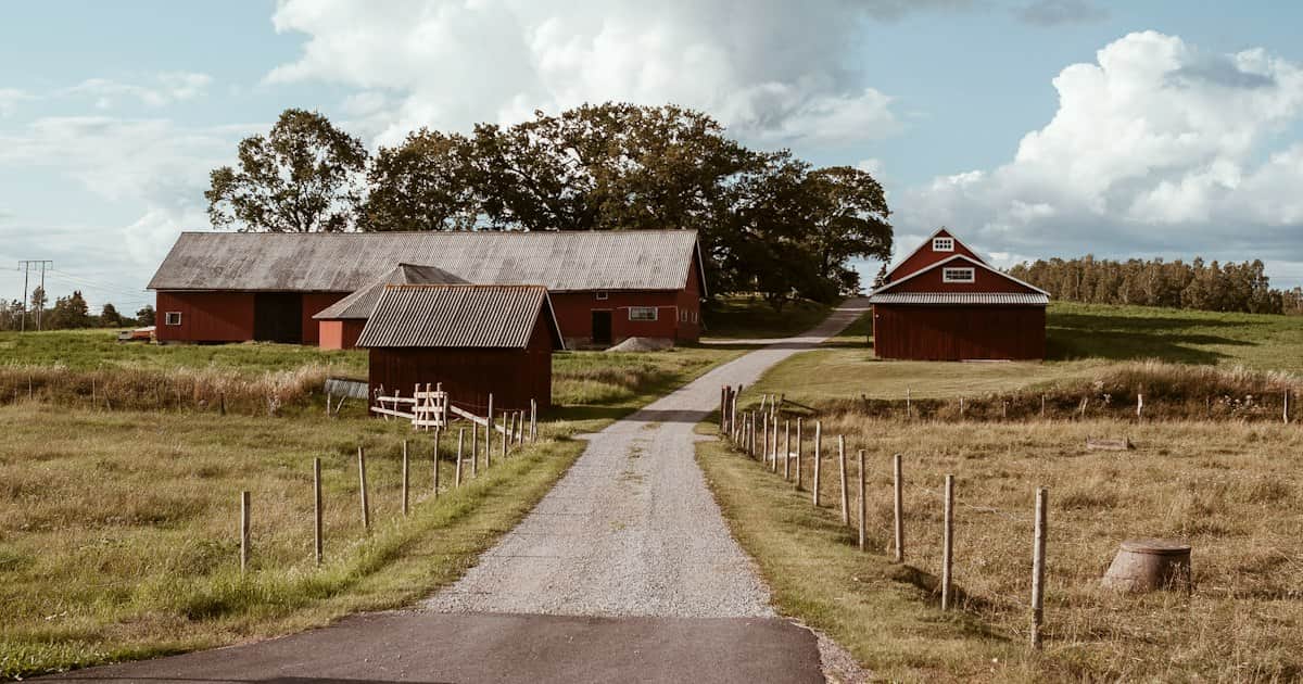USDA Rural Home Loans Near Tampa Bay: Do You Qualify?