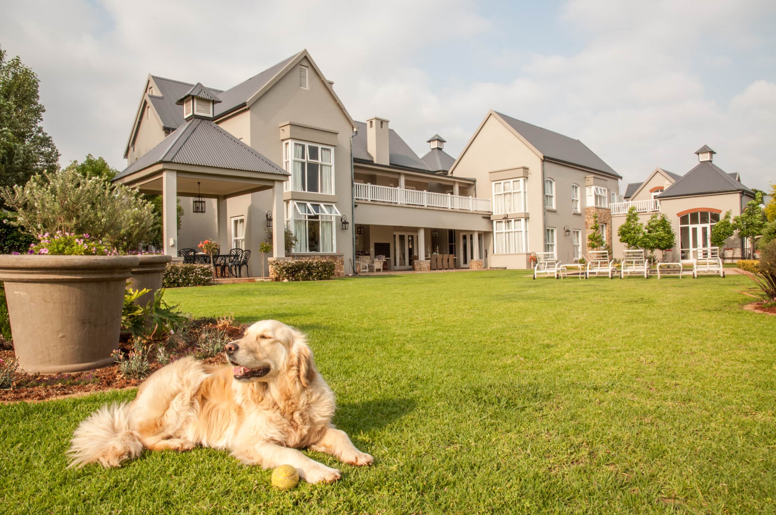 The Golden Retriever's Guide to Lynchburg Real Estate