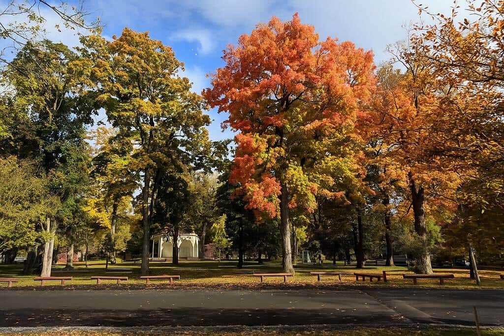 Autumn in Staunton: A Fall Real Estate Guide