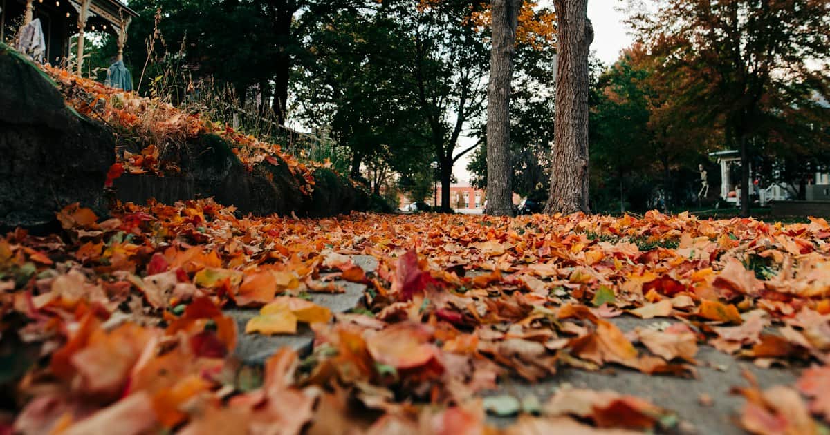 7 Saturday Chores to Winterize Your Home