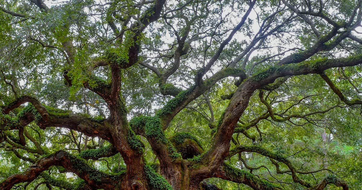 Tallahassee Fall Home Maintenance Essentials