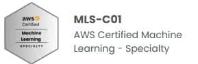 AWS Certified Machine Learning - Specialty
