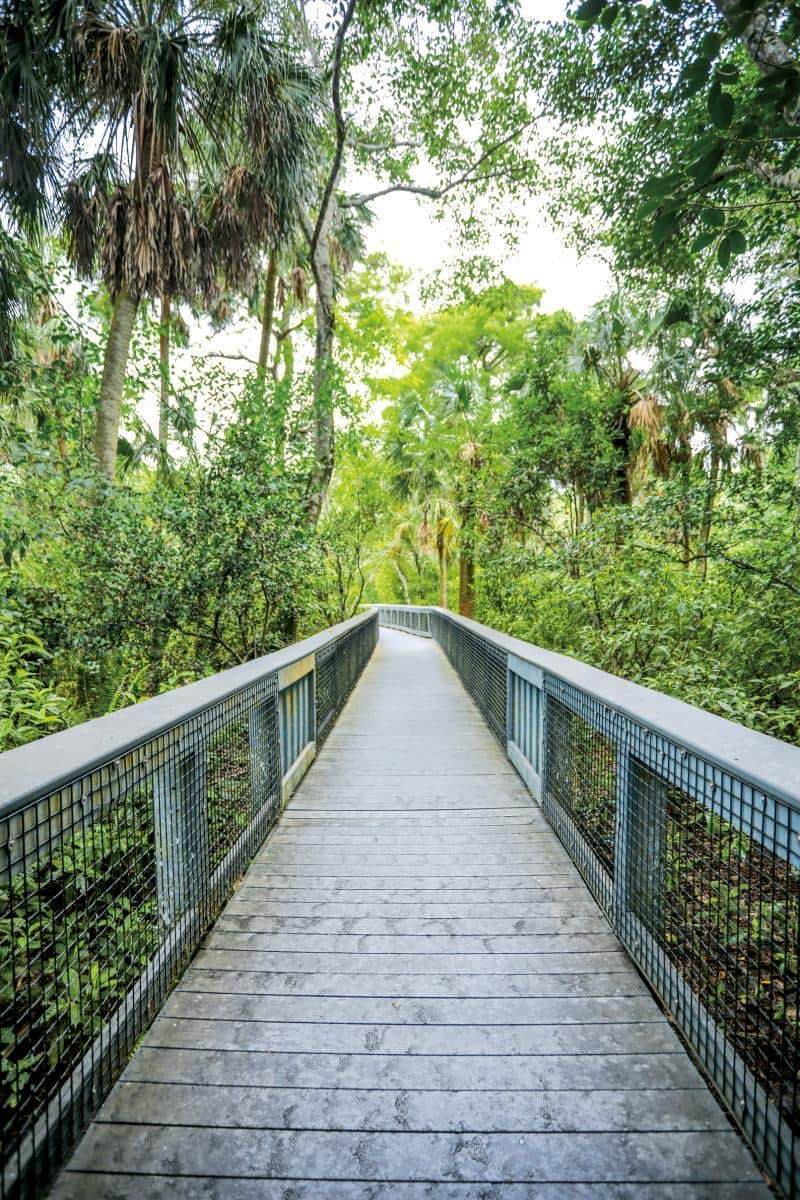 Living in Coral Springs: The 2026 City Guide