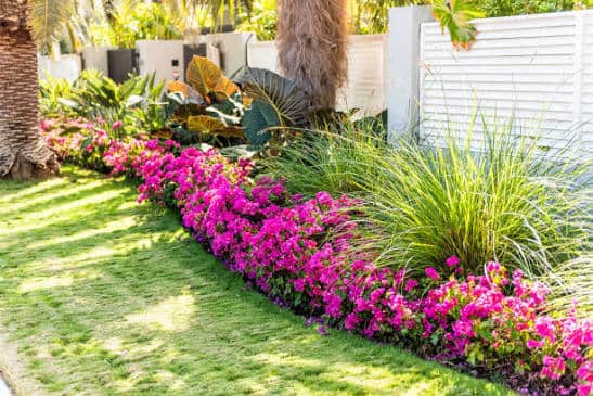Instant Curb Appeal: The Power of Fresh Pine Straw