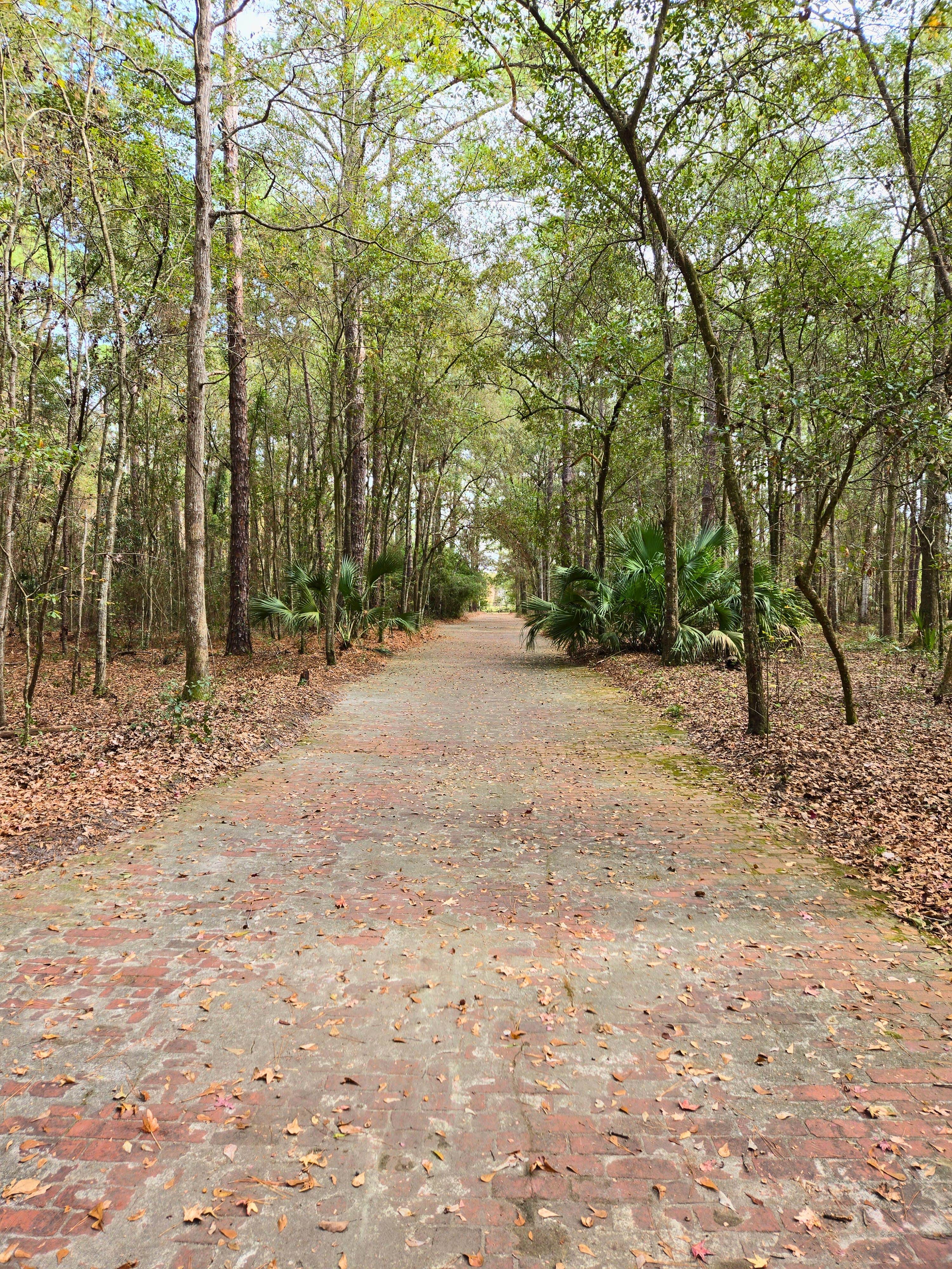 New to Kings Bay? Here's an Easy Jacksonville Day Trip