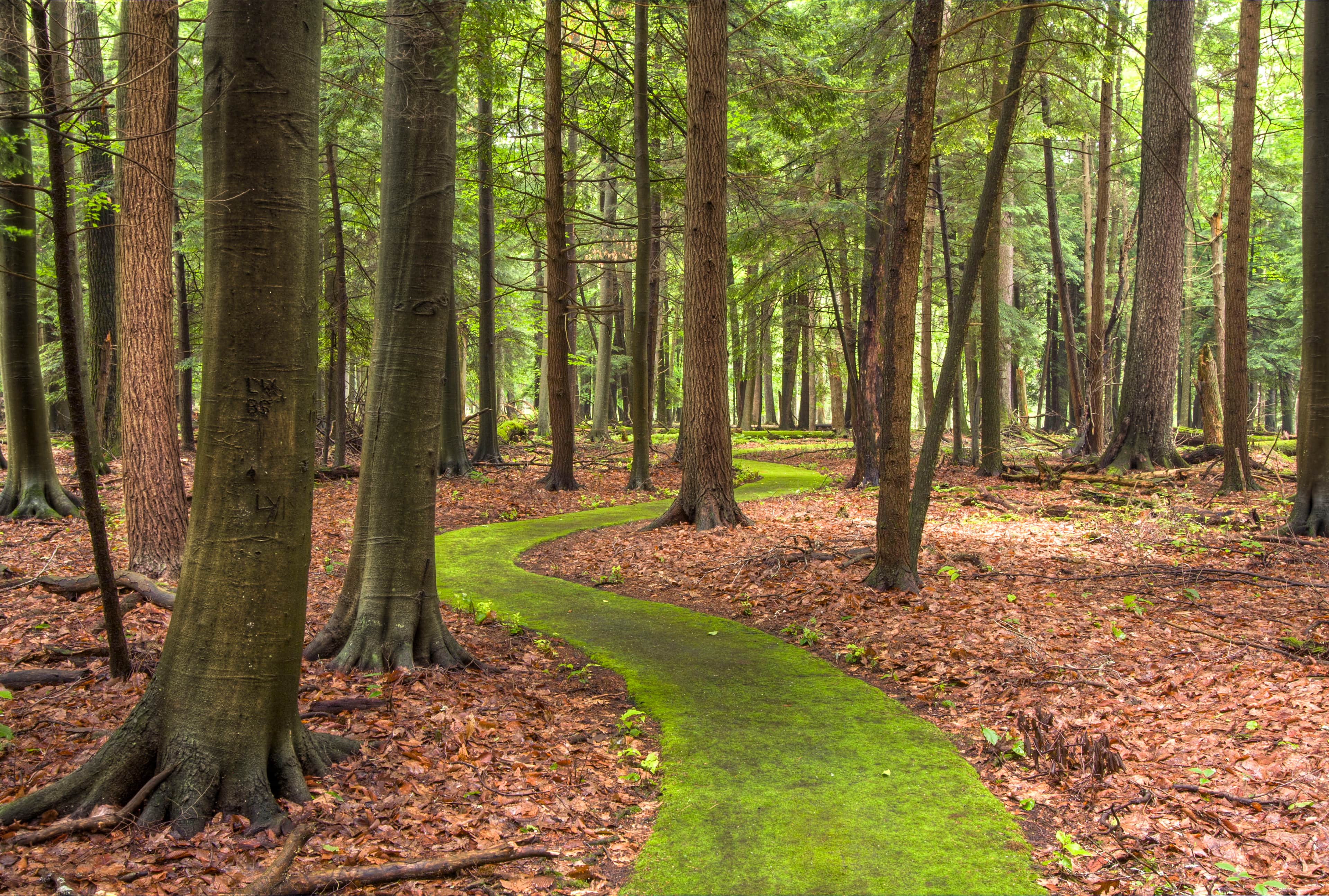 Living in Churchville, PA: A Local's Complete Guide