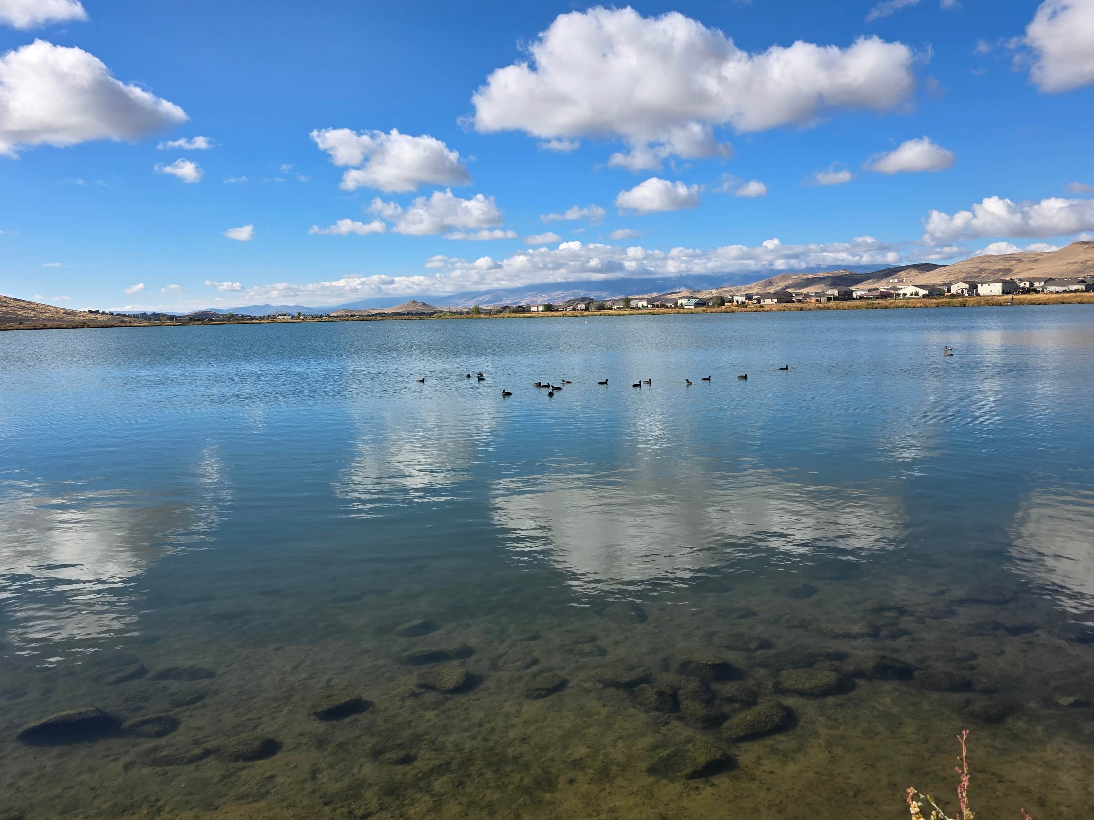 Reno, Sparks & Spanish Springs Home Values: What Online Estimates Can't See
