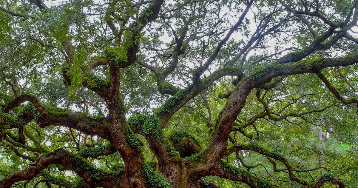 Tallahassee Fall Home Maintenance Essentials