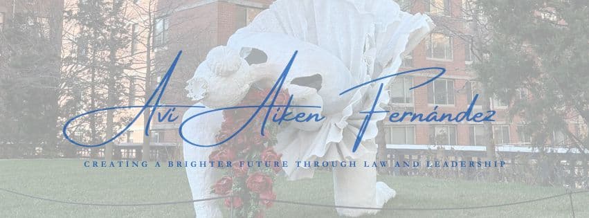 Avi Aiken Fernandez's cover image