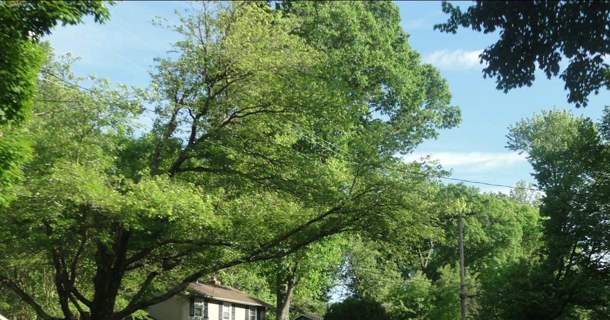 Germantown vs. Mequon vs. Menomonee Falls: Where Should You Buy North of Milwaukee?